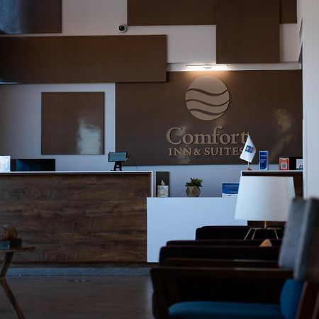 Comfort Inn & Suites Los Cabos Кабо-Сан-Лукас Екстер'єр фото